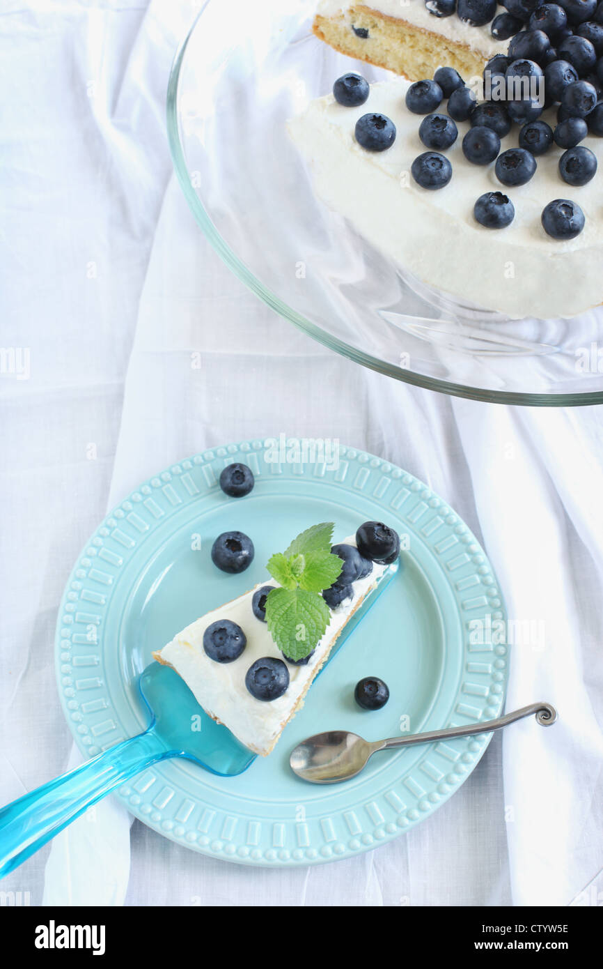 Sponge cake with whipped cream and blueberries Stock Photo - Alamy