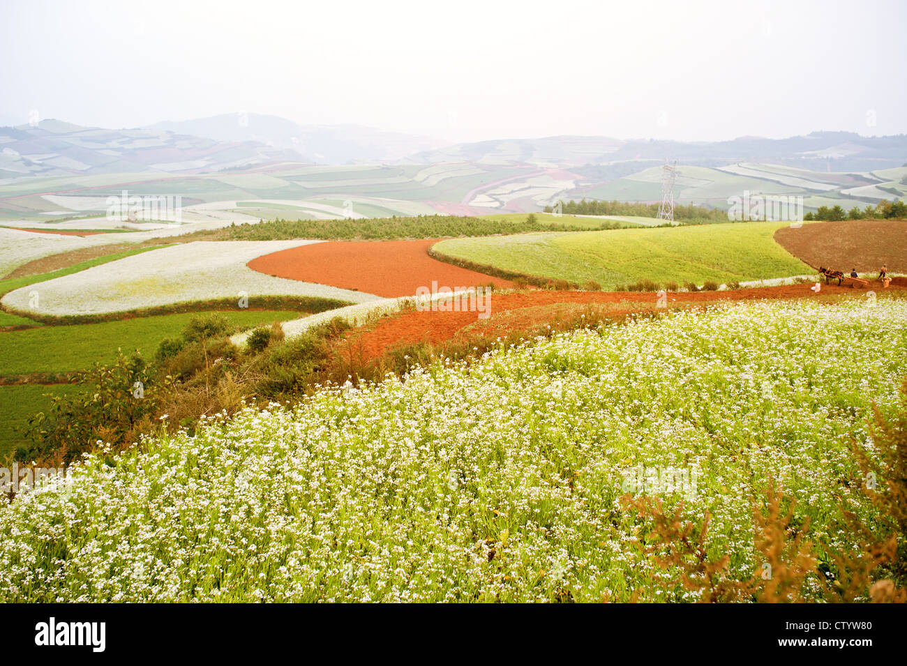 Yunnan Hani Terrace, China Stock Photo