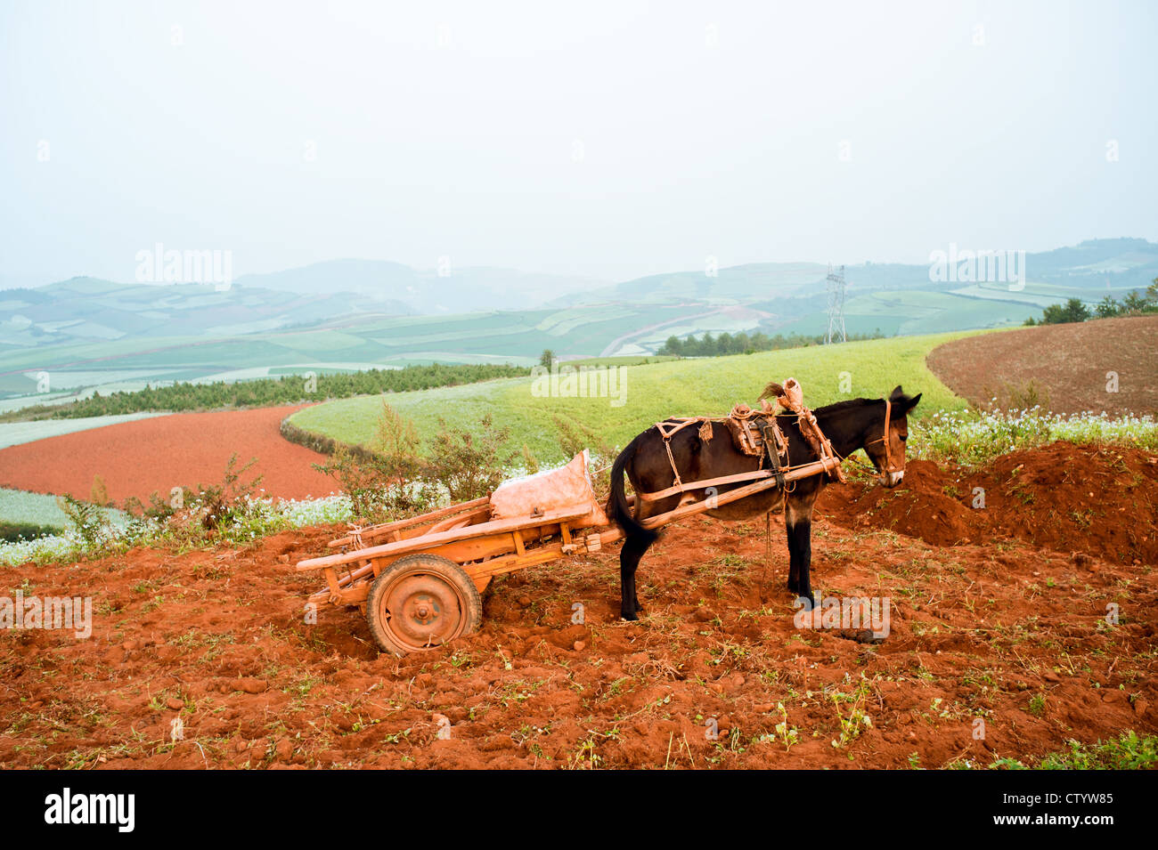 Yunnan Hani Terrace, China Stock Photo