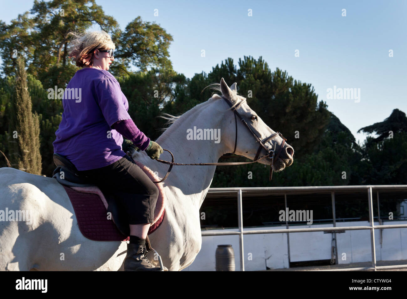 A blond haired woman is riding a white horse with a dressage saddle. Stock Photo
