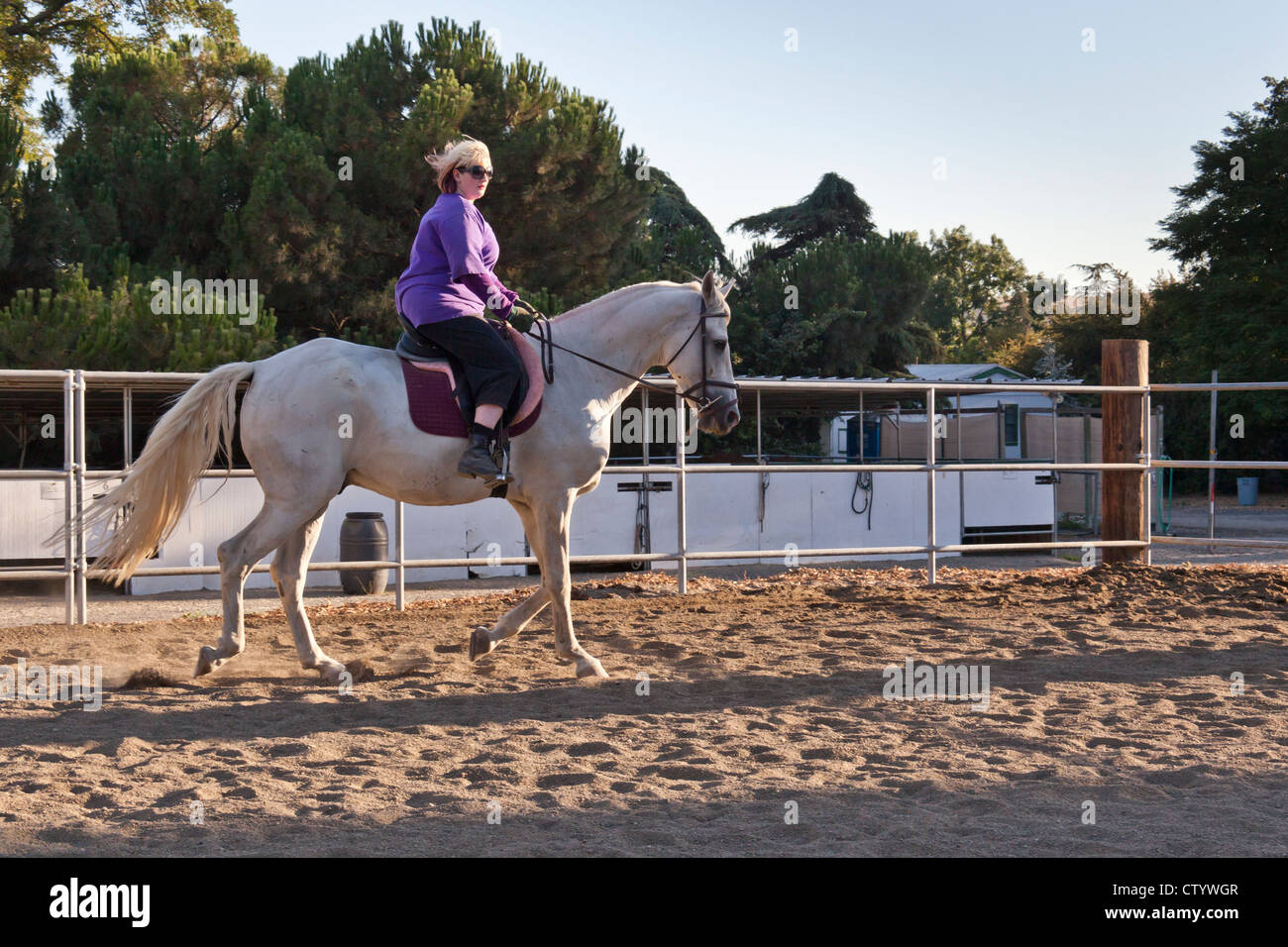A blond haired woman is riding a white horse with a dressage saddle. Stock Photo