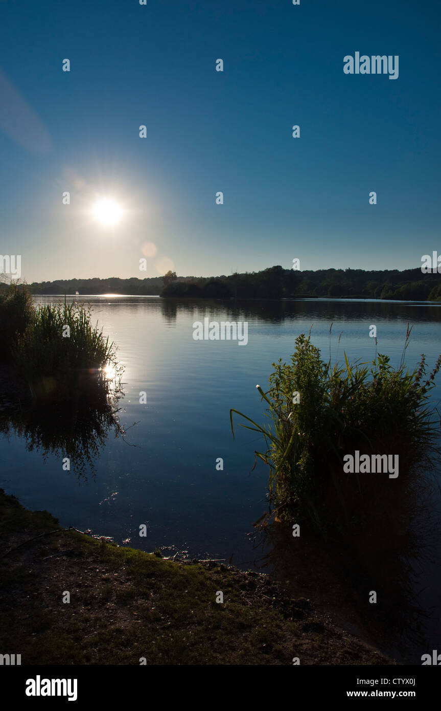 Whitlingham Great Broad Stock Photo - Alamy