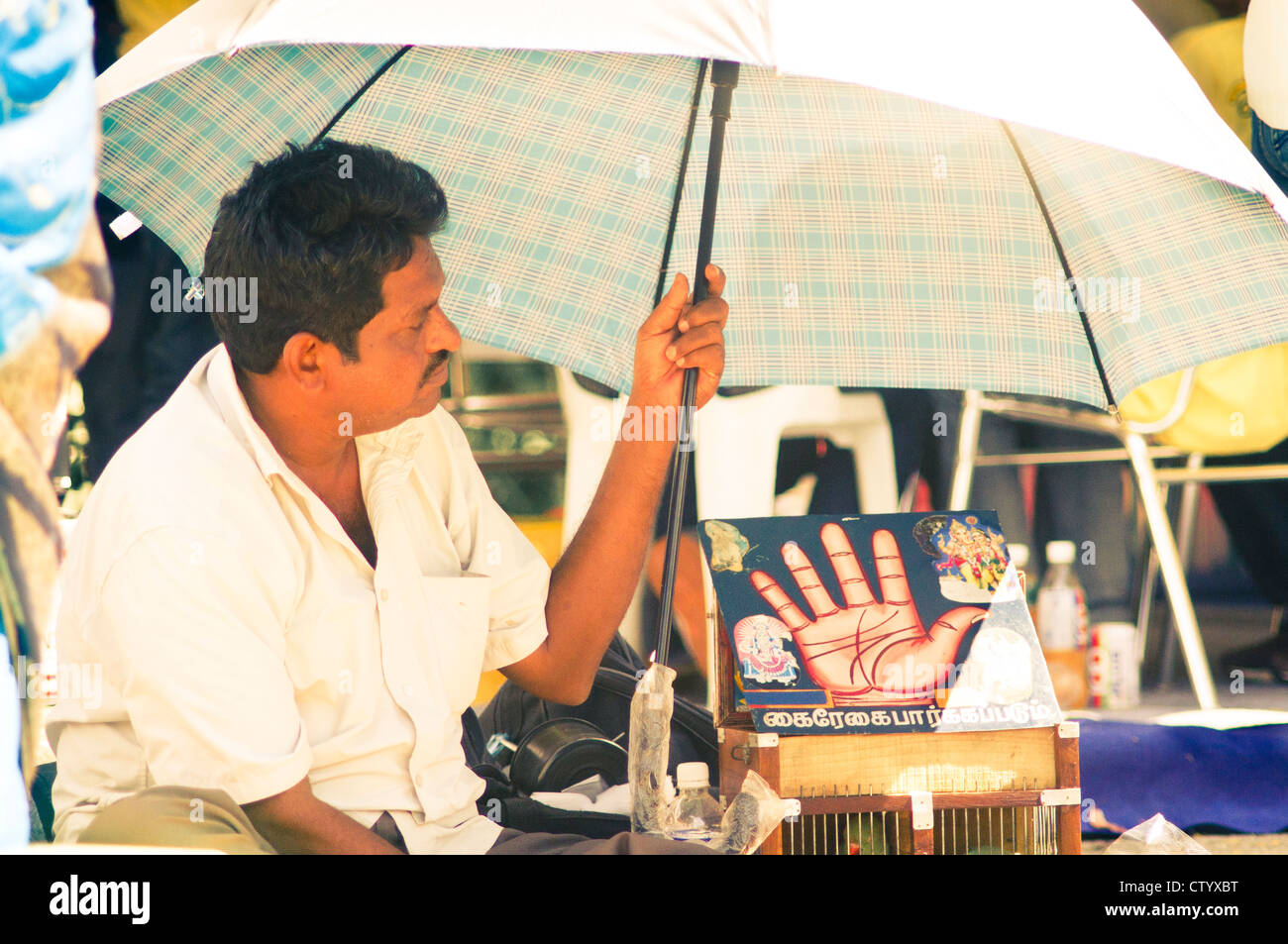 an indian fortune teller, palm reading and parrots picking cards to