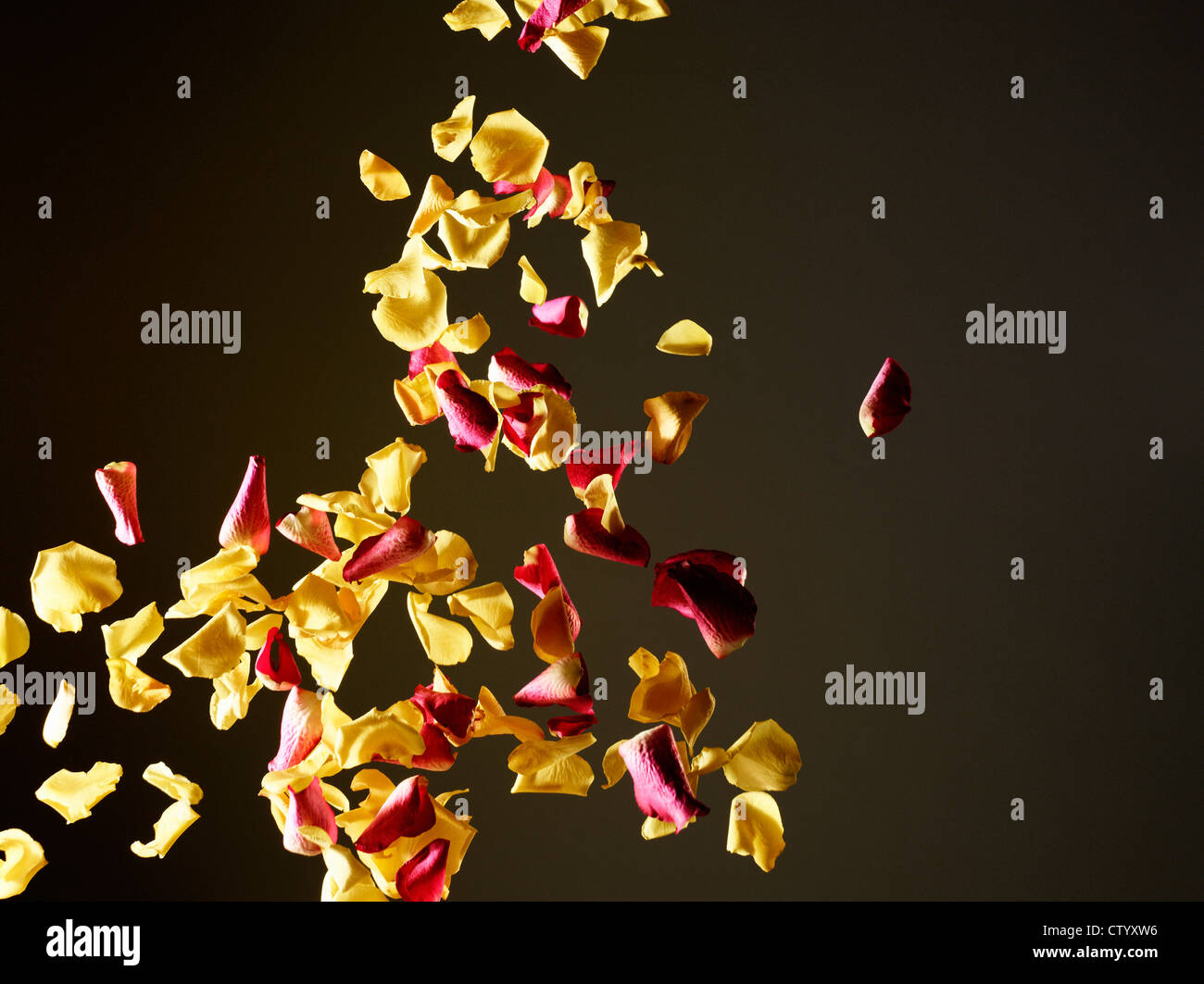 Petals falling air hires stock photography and images Alamy