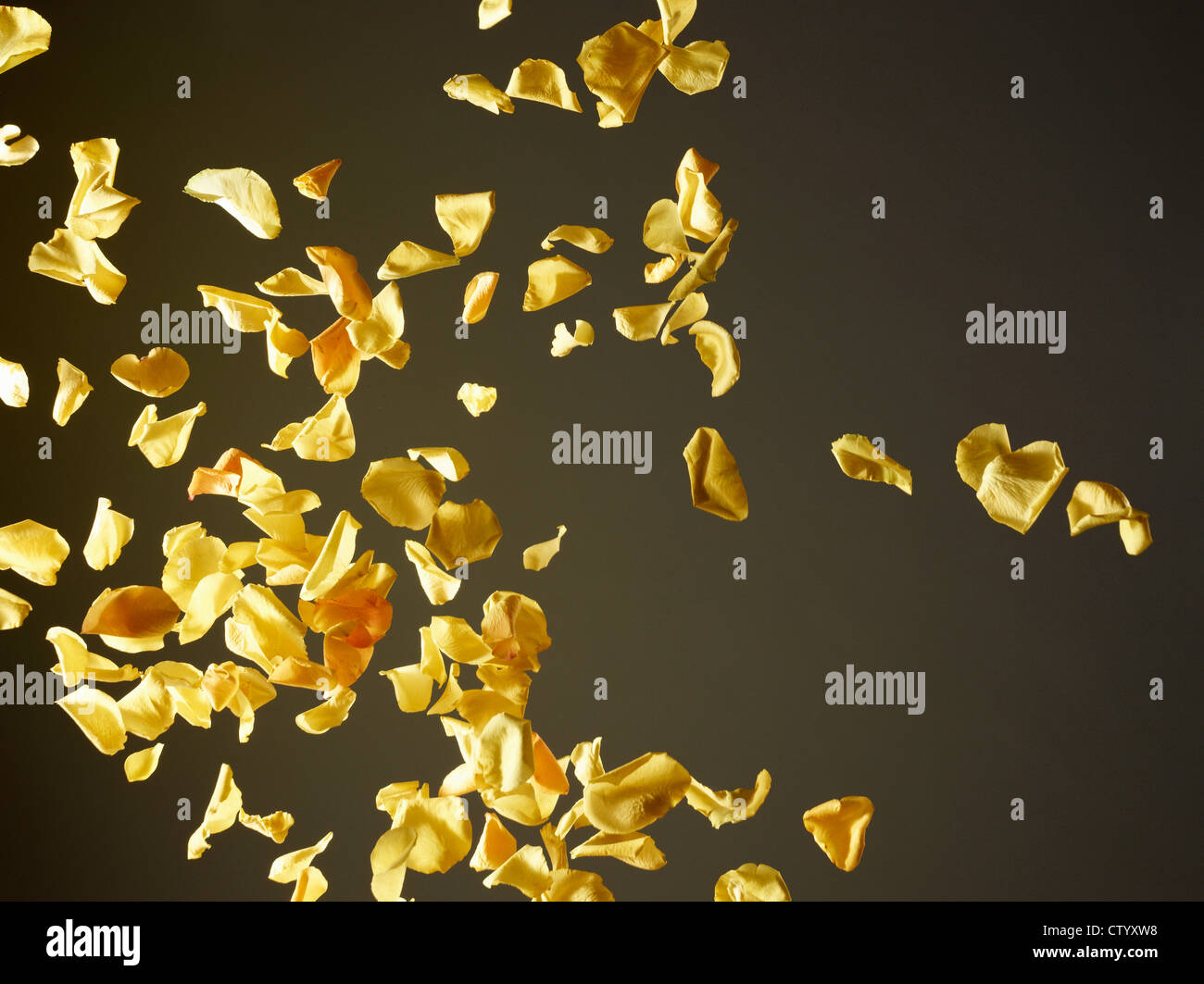 Flower power movement hires stock photography and images Alamy