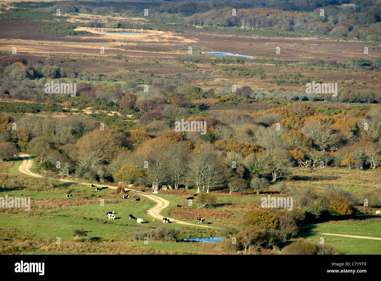 A view of the army ranges near Lulworth Dorset UK Stock Photo - Alamy