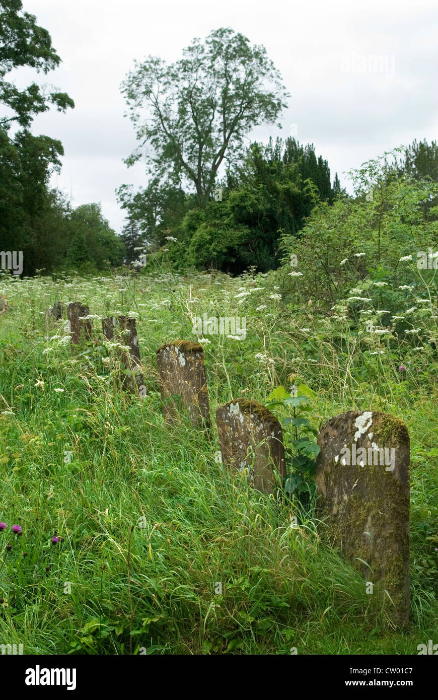 Overgrown uncared for church graveyard Oxfordshire UK HOMER SYKES Stock Photo