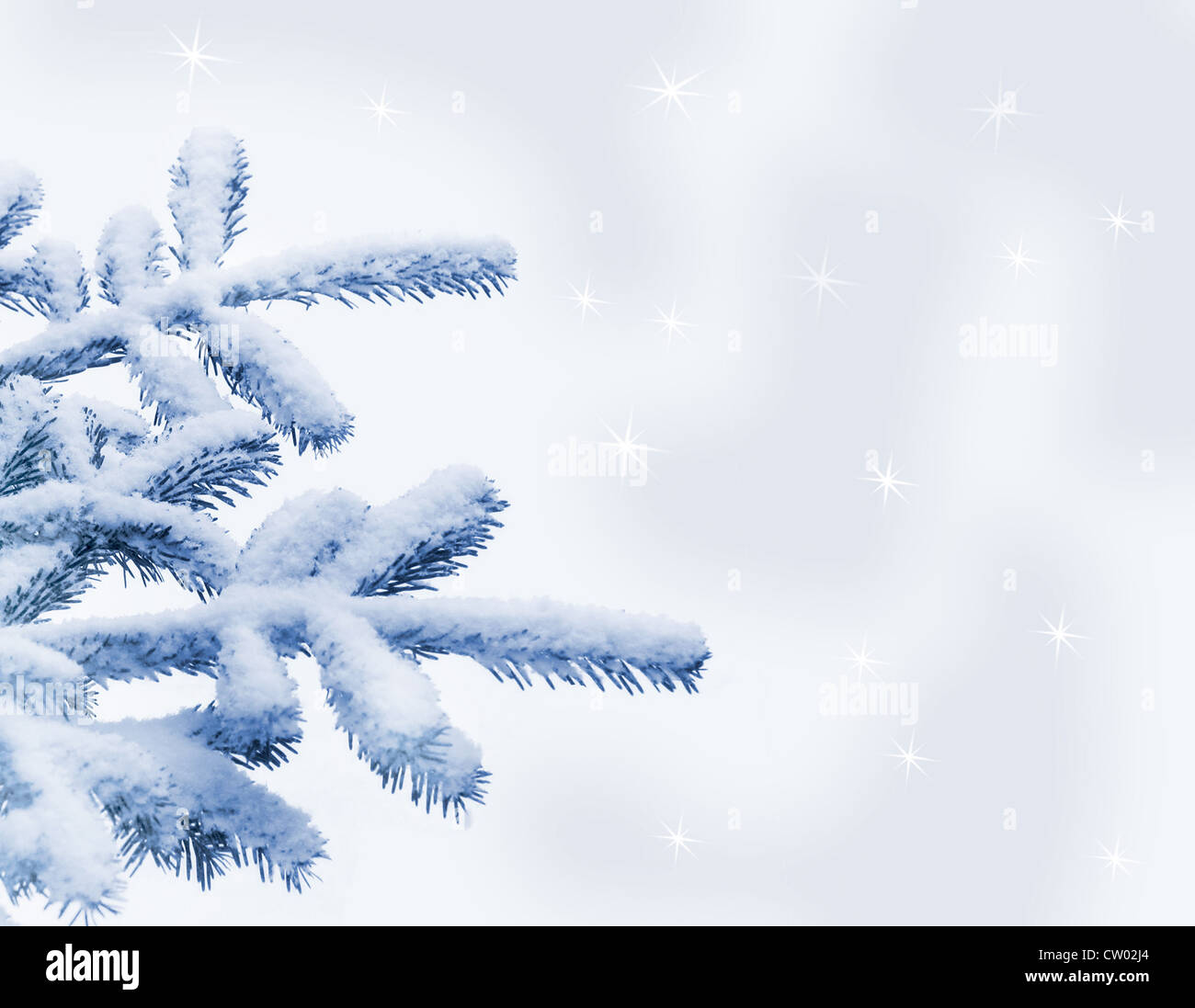 Christmas tree Stock Photo