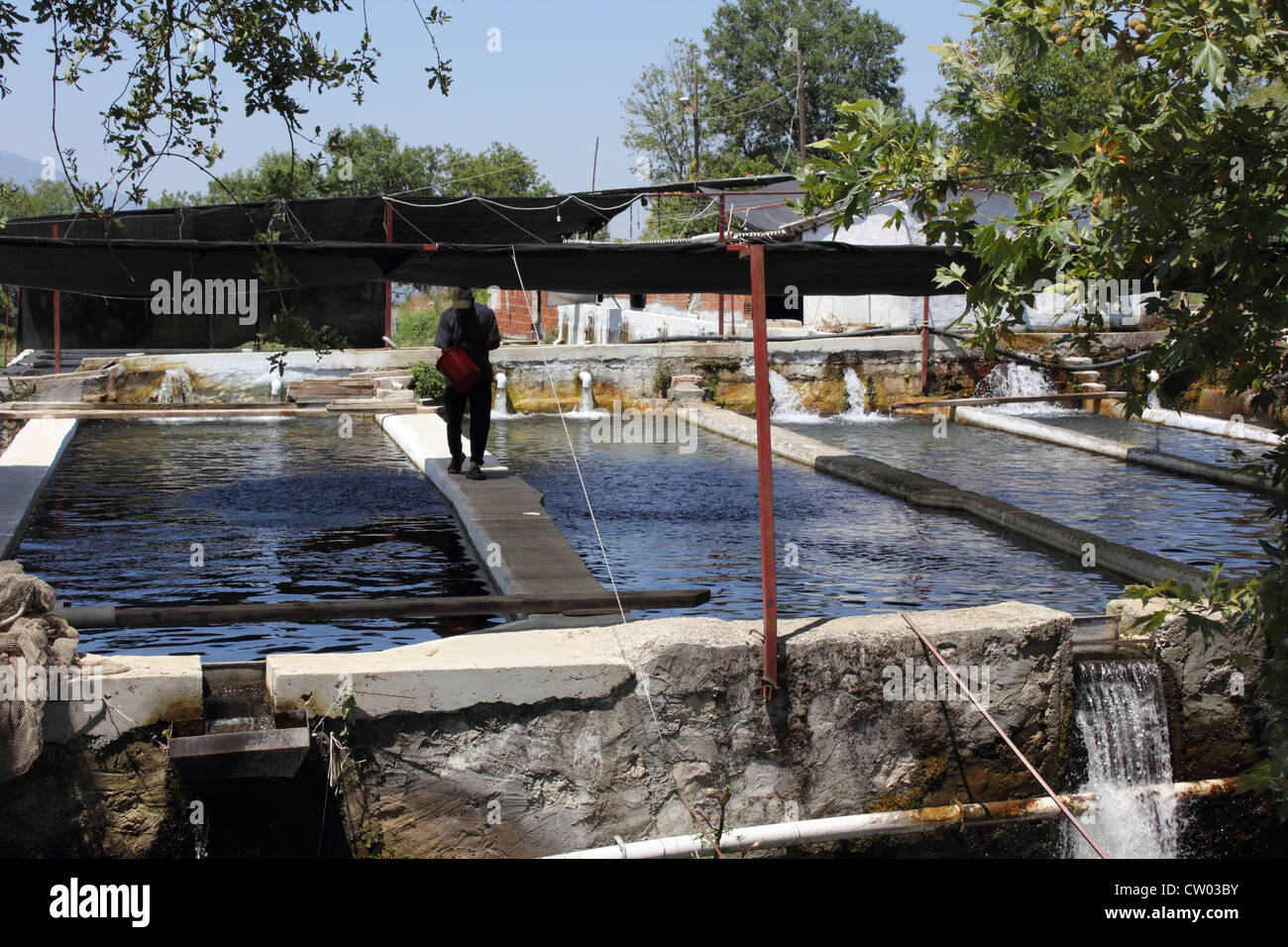 A Trout farm in turkey Stock Photo Alamy