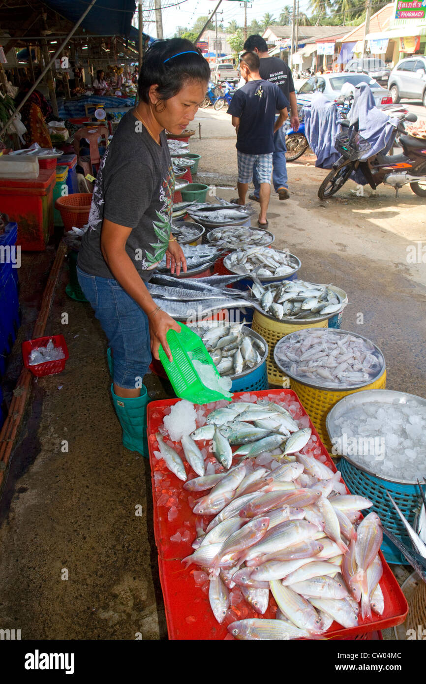 Vendor selling fresh fish at an open air market on the island of Ko Samui, Thailand. Stock Photo