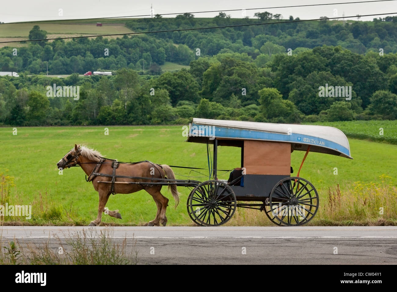 Amish buggy hauling a boat towards a fishing spot, Mohawk Valley, New York State Stock Photo