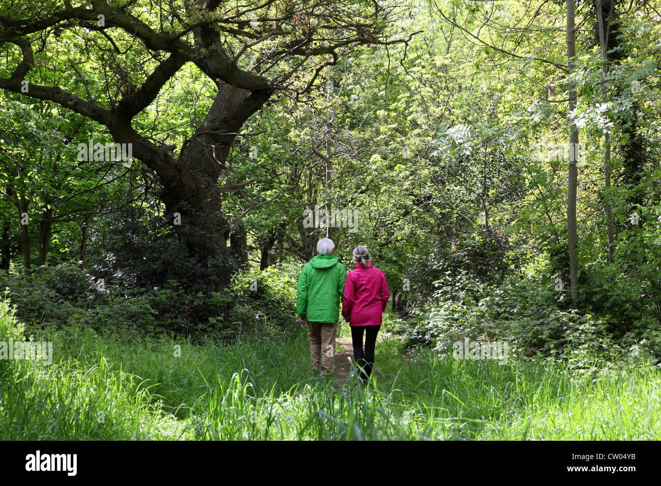 Older couple walking in forest Stock Photo - Alamy