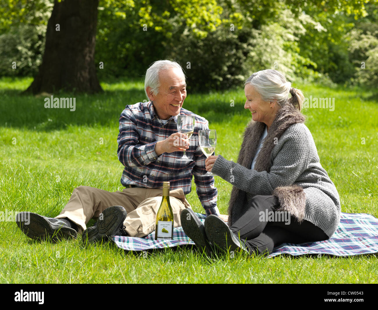 Older couple toasting each other Stock Photo