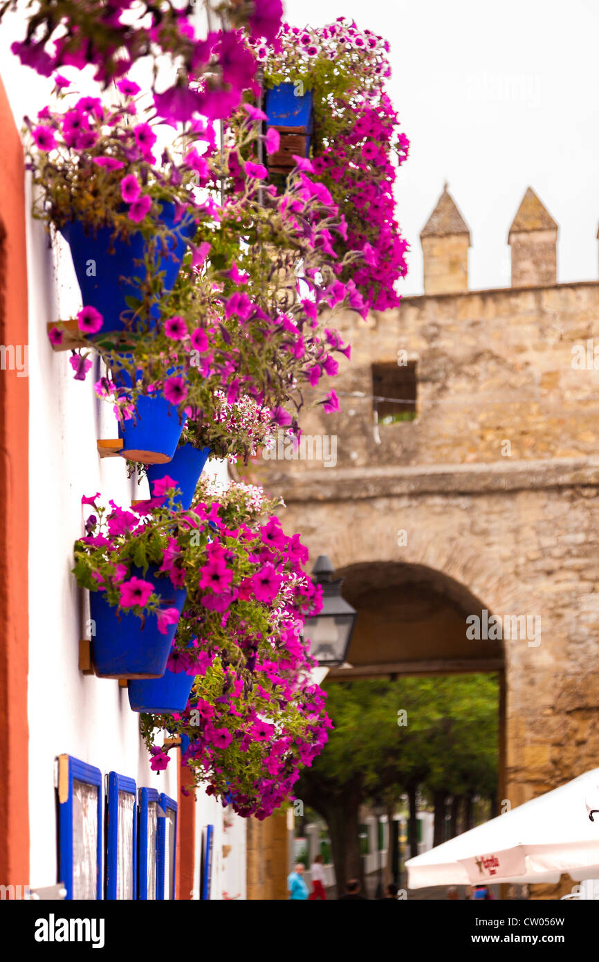 View of typical flower pots down street towards old city walls, Cordoba, Andalucia, Spain, Europe. Stock Photo