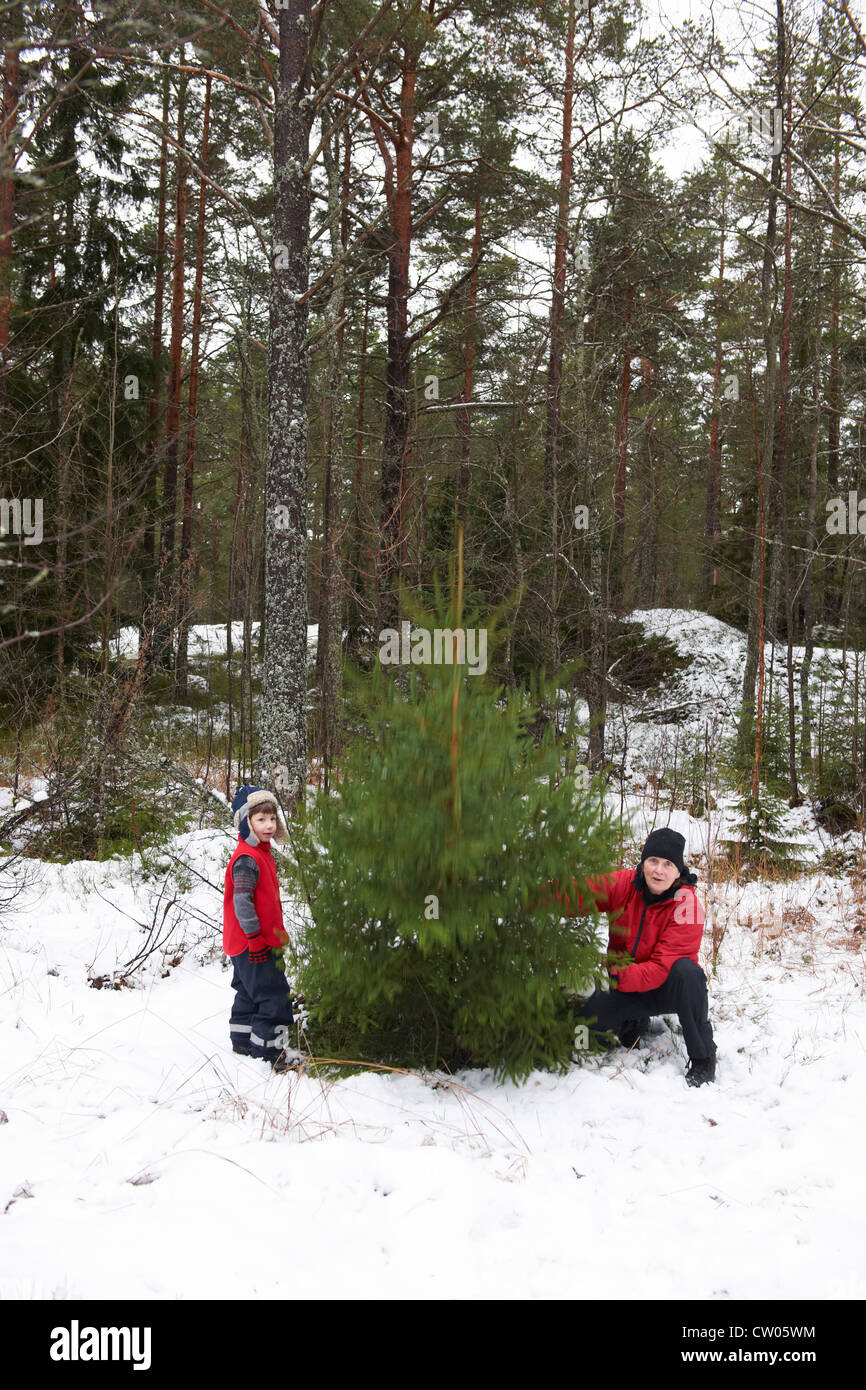 Father and son picking Christmas tree Stock Photo