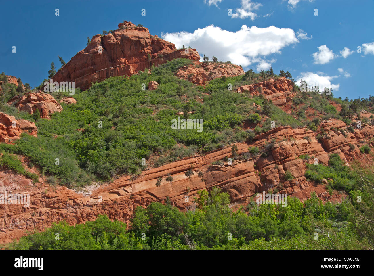 Kolob Canyons, Zion National Park, Utah Stock Photo