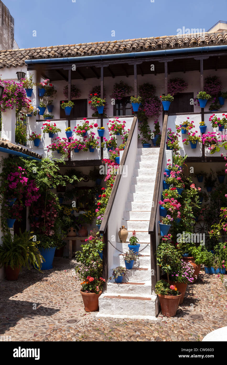 Typical flower pots in a colourful courtyard, Cordoba, Andalucia, Spain