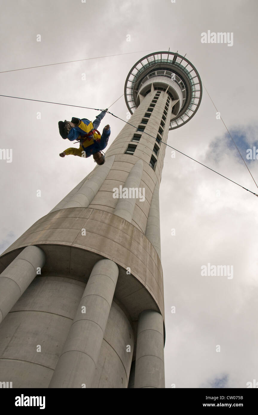 A sky jump last 11 seconds from the Sky Tower in Auckland, New Zealand. Stock Photo