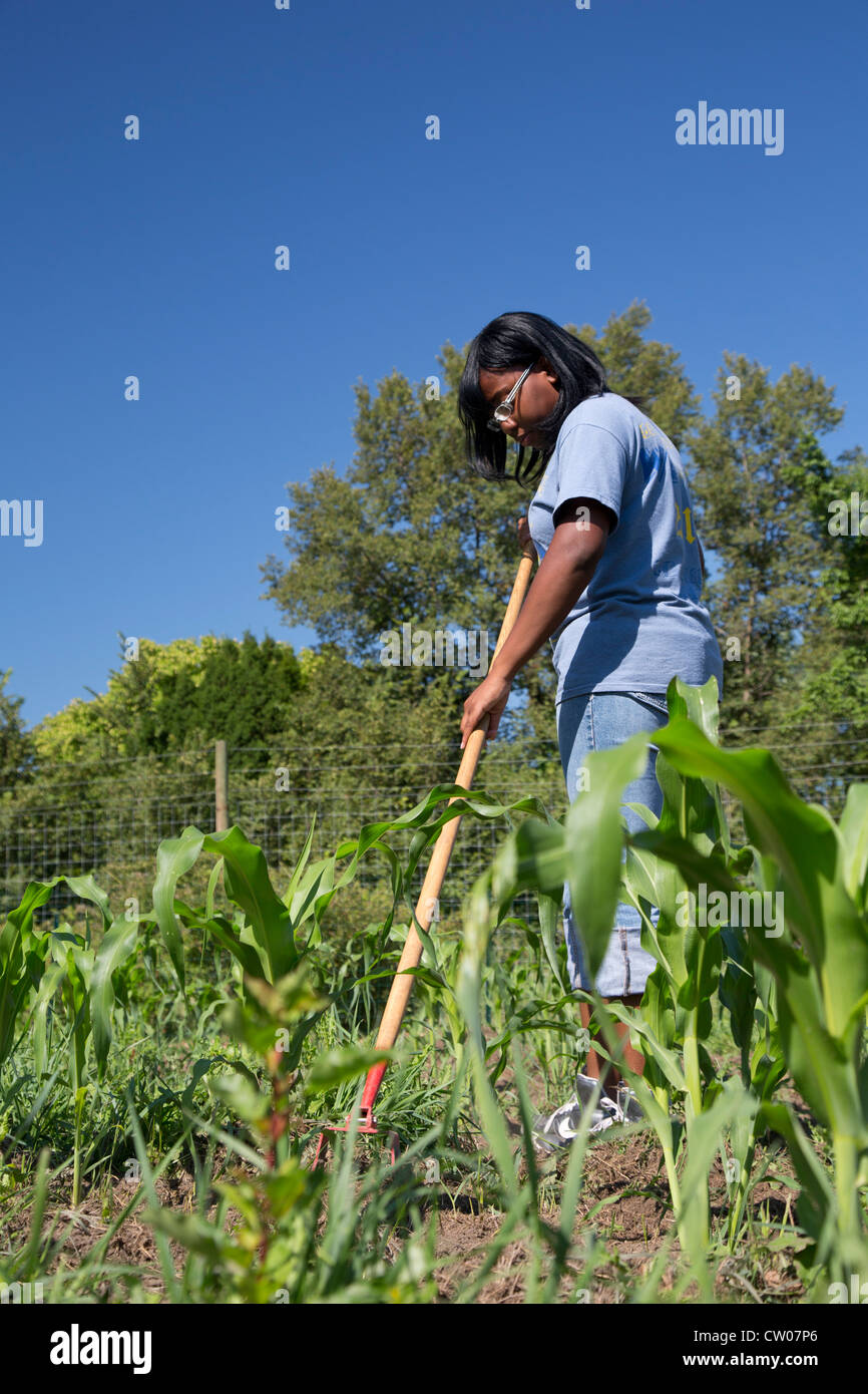 Detroit Michigan Volunteers From The Summer In The City Program Stock Photo Alamy Detroit Michigan Volunteers From The Summer In The City Program Stock Photo Alamy