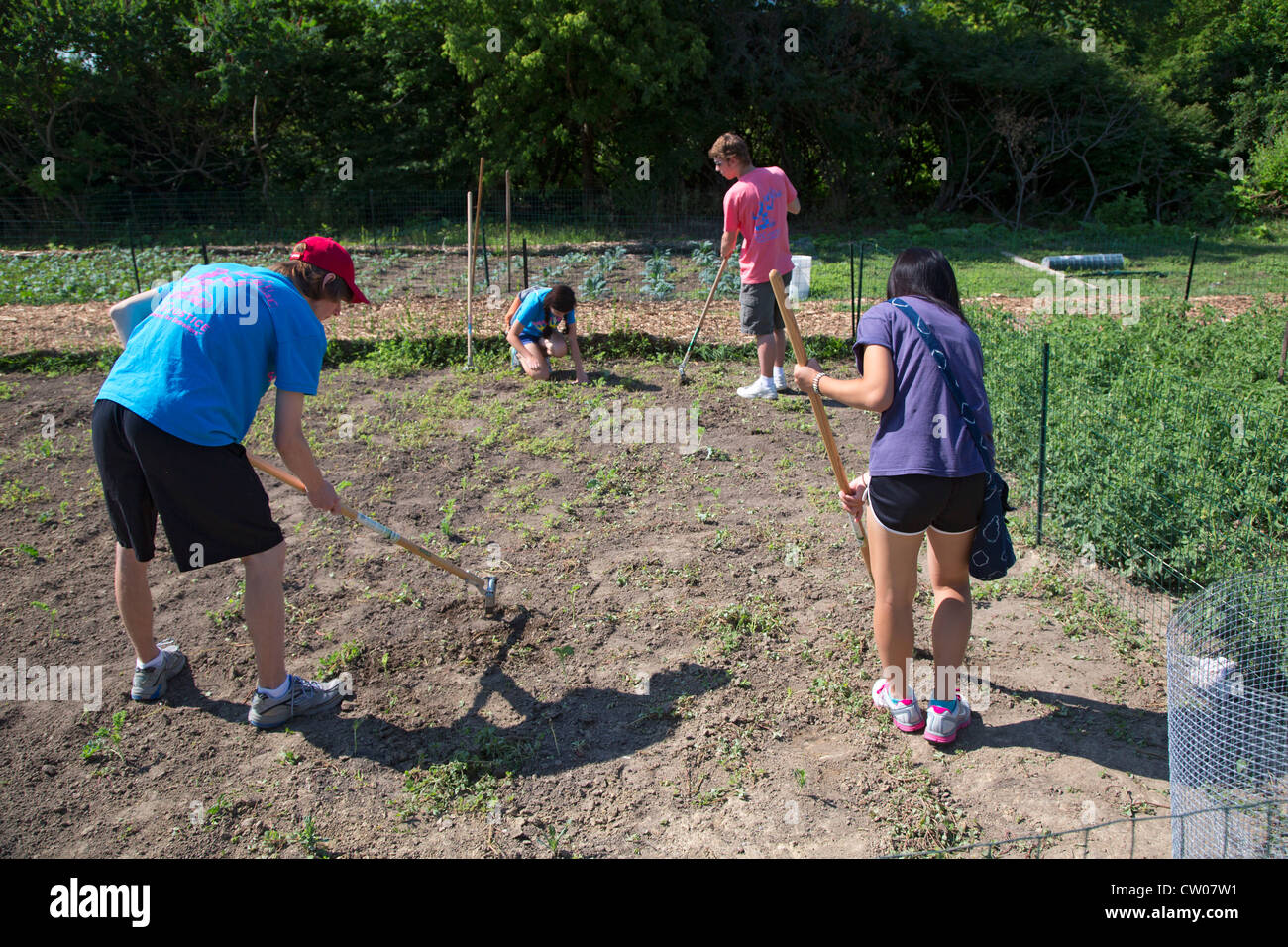 Detroit Michigan Volunteers From The Summer In The City Program Stock Photo Alamy