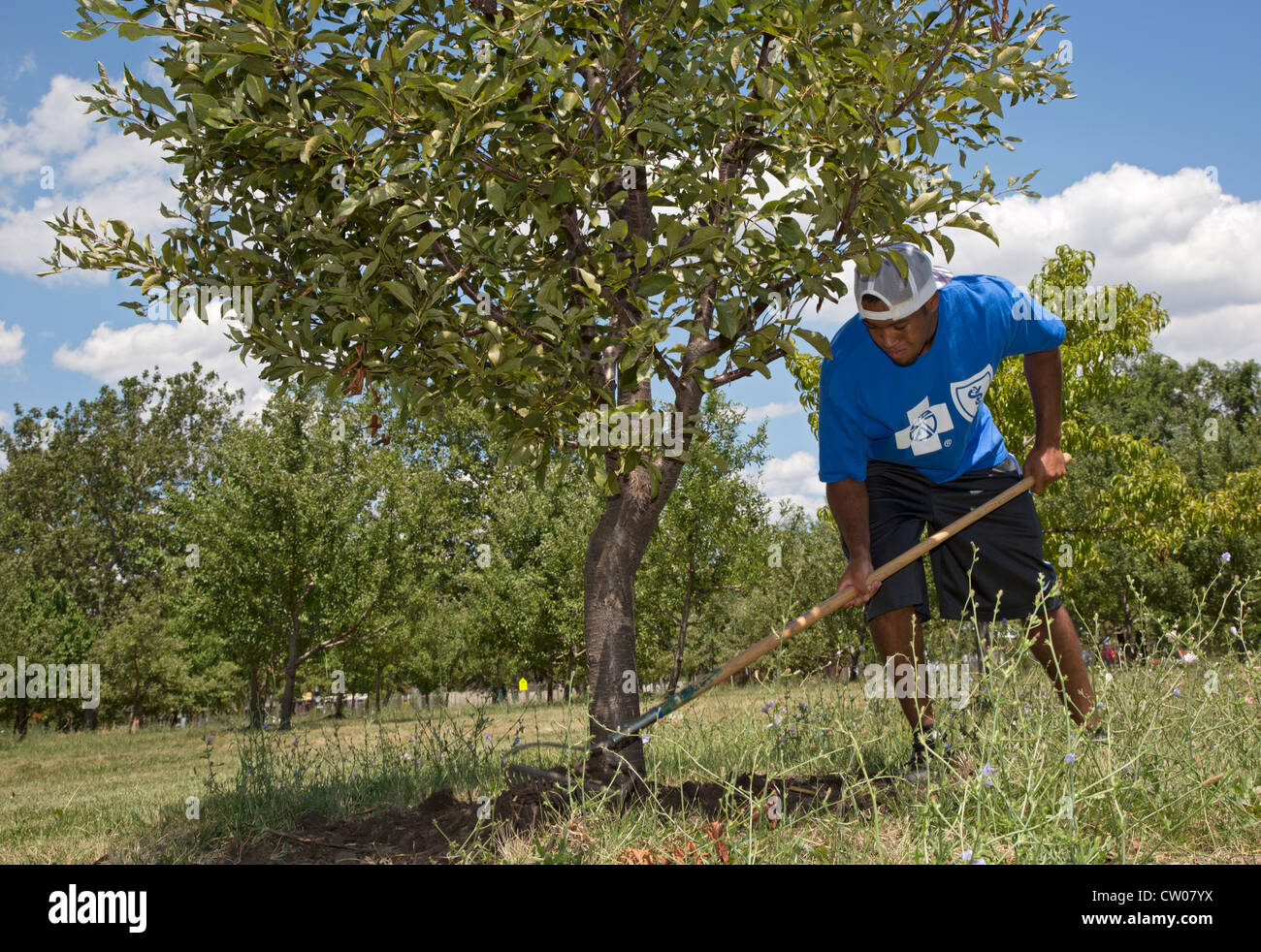 Detroit, Michigan Interns from Blue Cross Blue Shield of Michigan