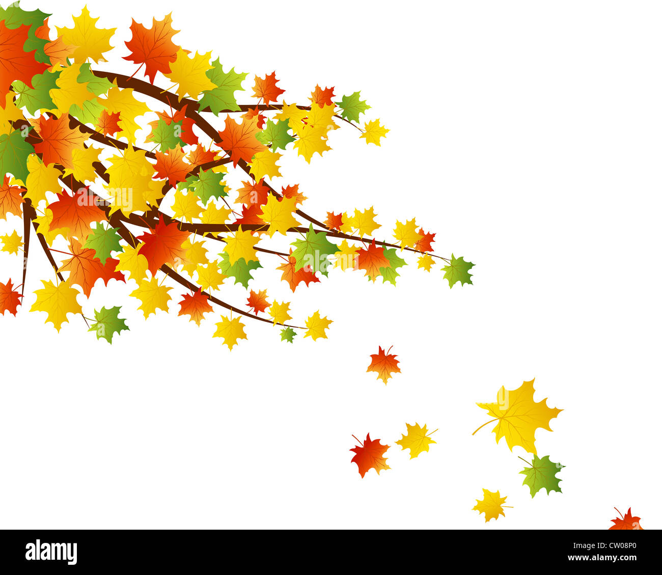 Autumn maples falling leaves background. Vector illustration Stock ...