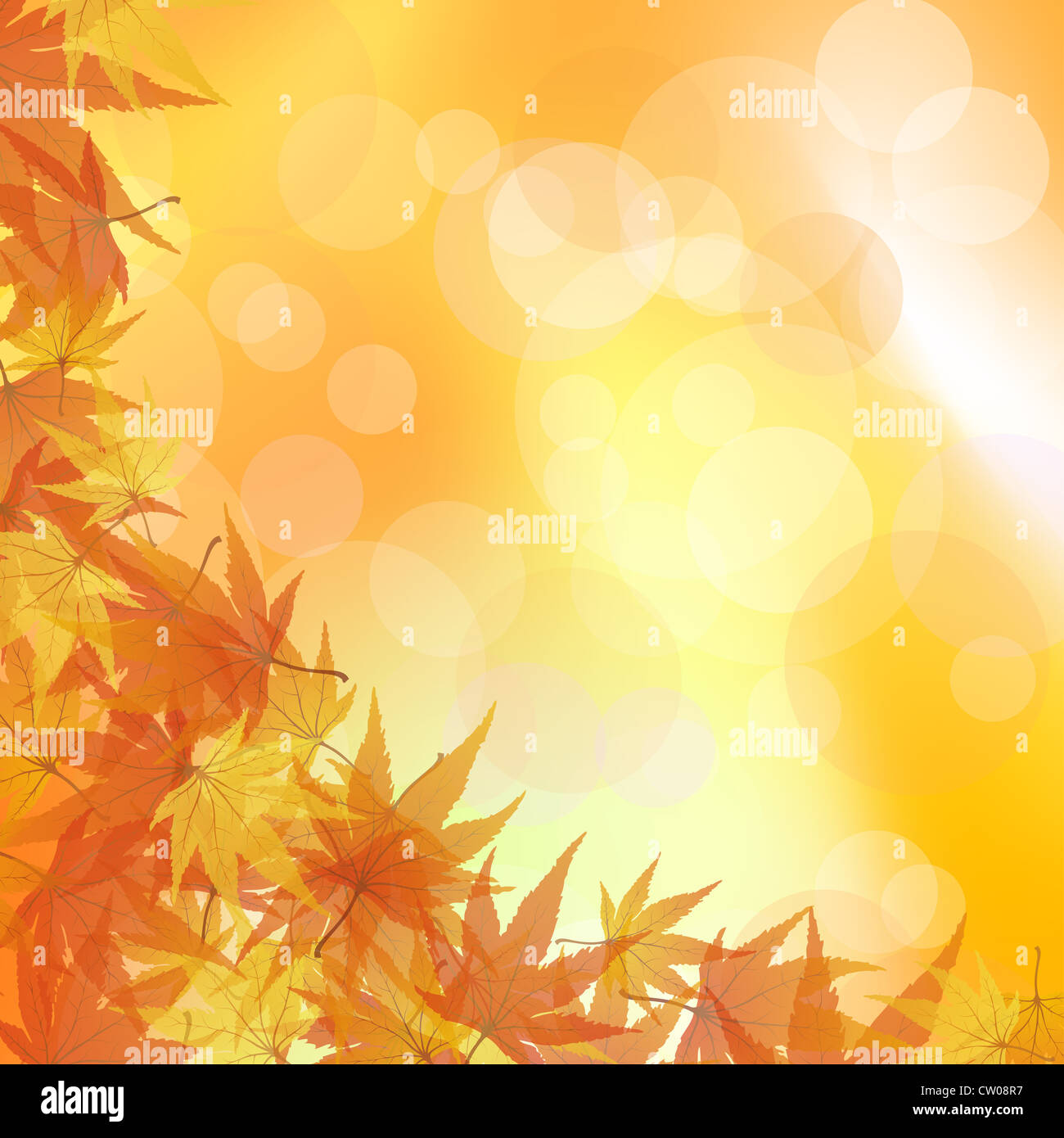Autumn maples falling leaves background. Vector illustration Stock ...