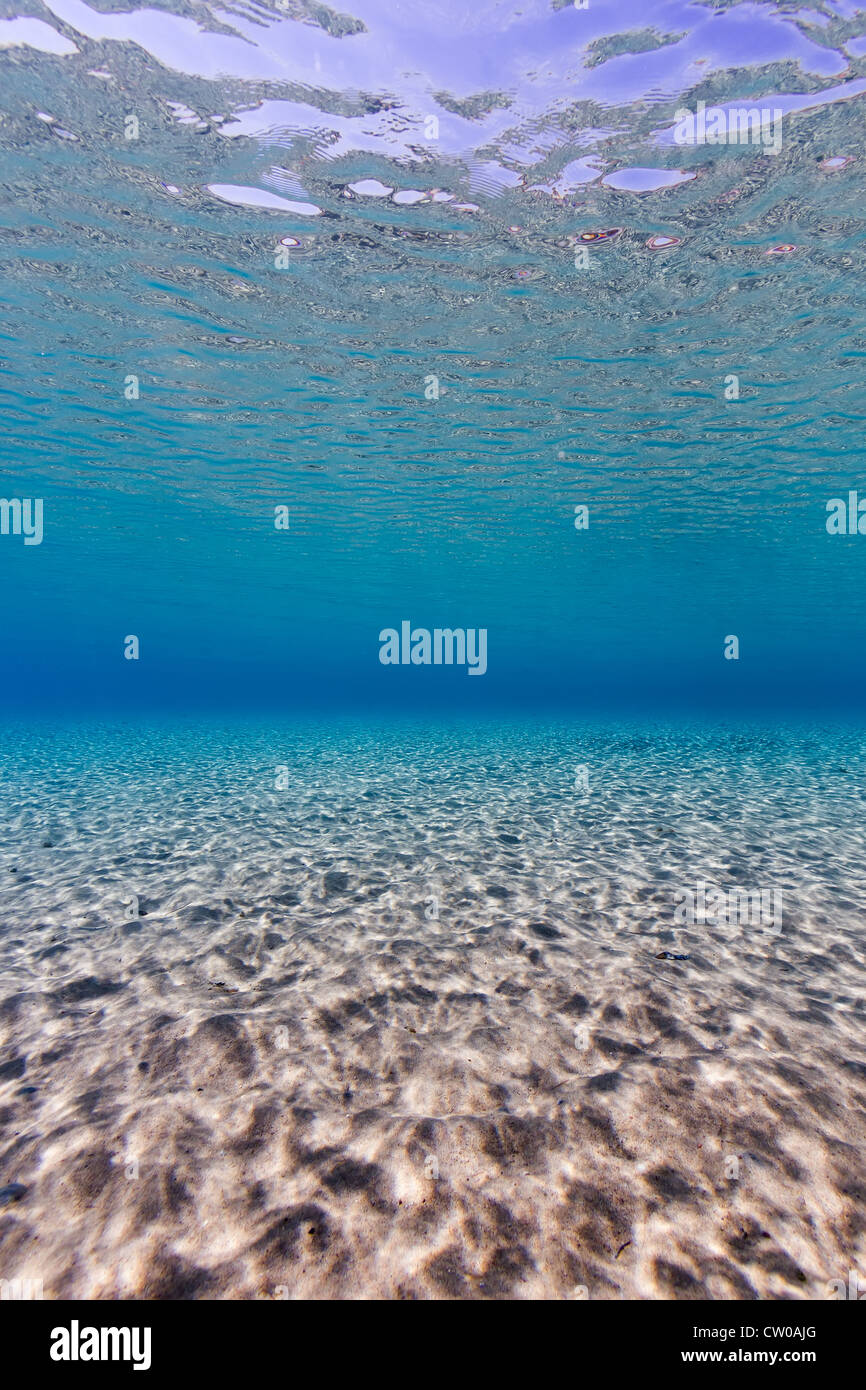 Ocean Background - portrait format backdrop of sand ripples ...