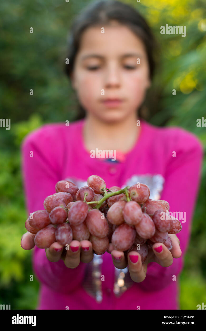 Girl holds freshly picked grape Stock Photo