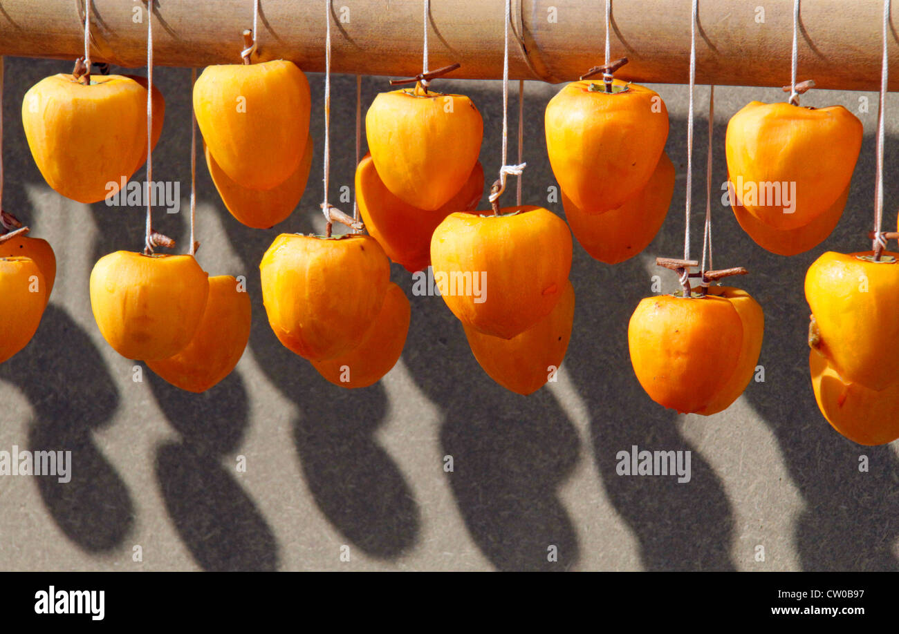 Drying pealed persimmon fruit to make Korogaki Yamanashi Japan Stock ...