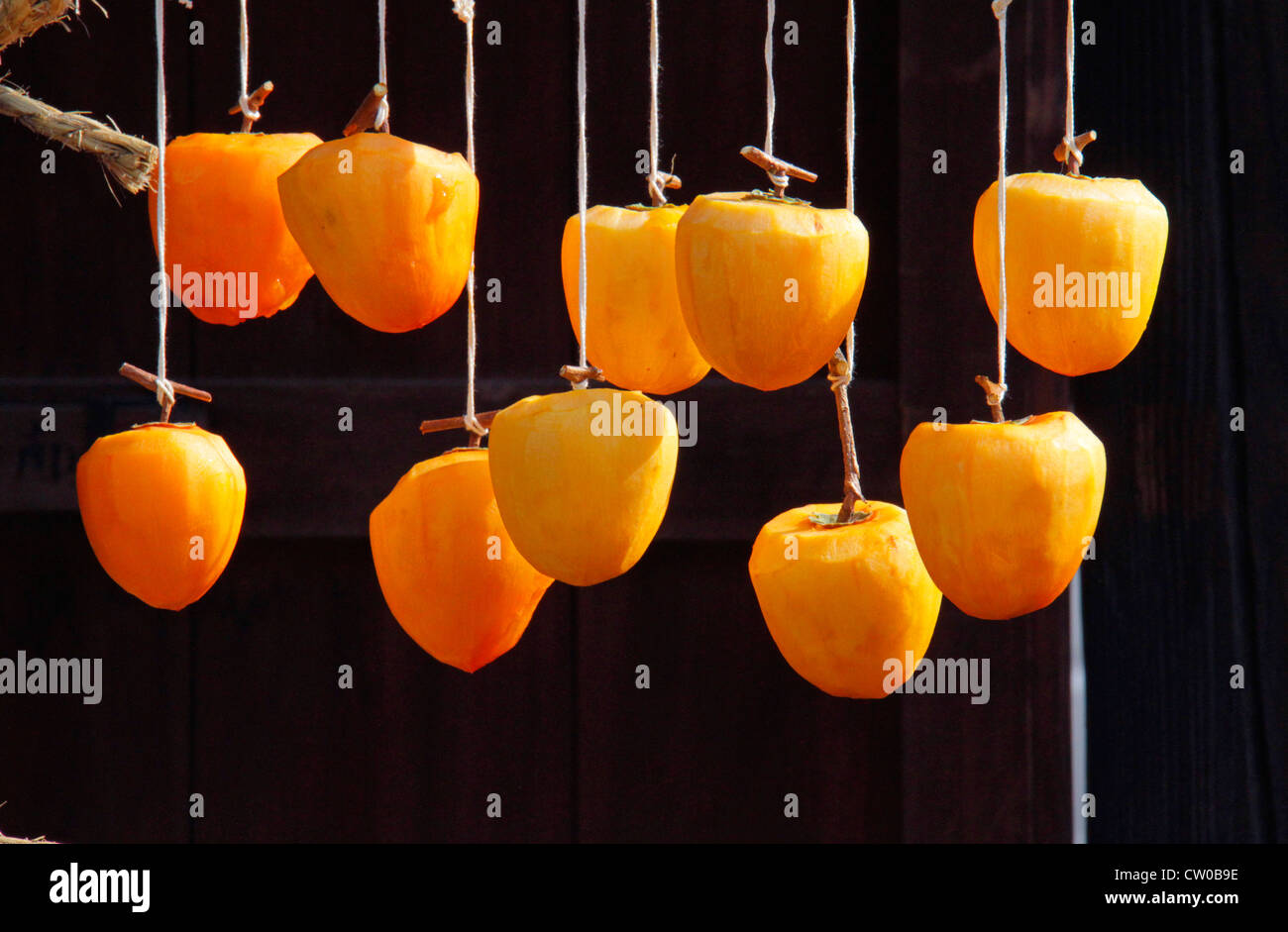 Drying pealed persimmon fruit to make Korogaki Yamanashi Japan Stock ...