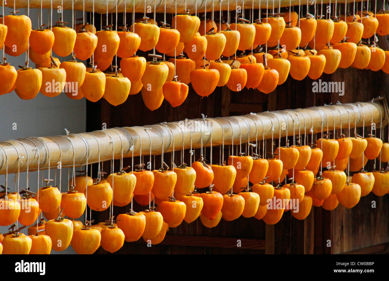Drying pealed persimmon fruit to make Korogaki Yamanashi Japan Stock ...