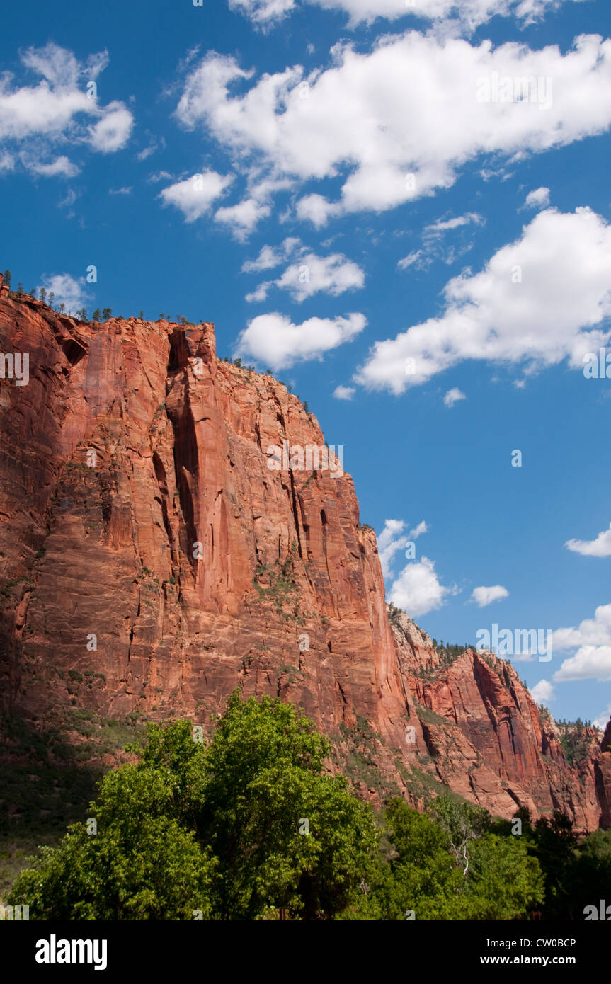 USA Utah, Zion National Park. Big Bend land form Stock Photo Alamy