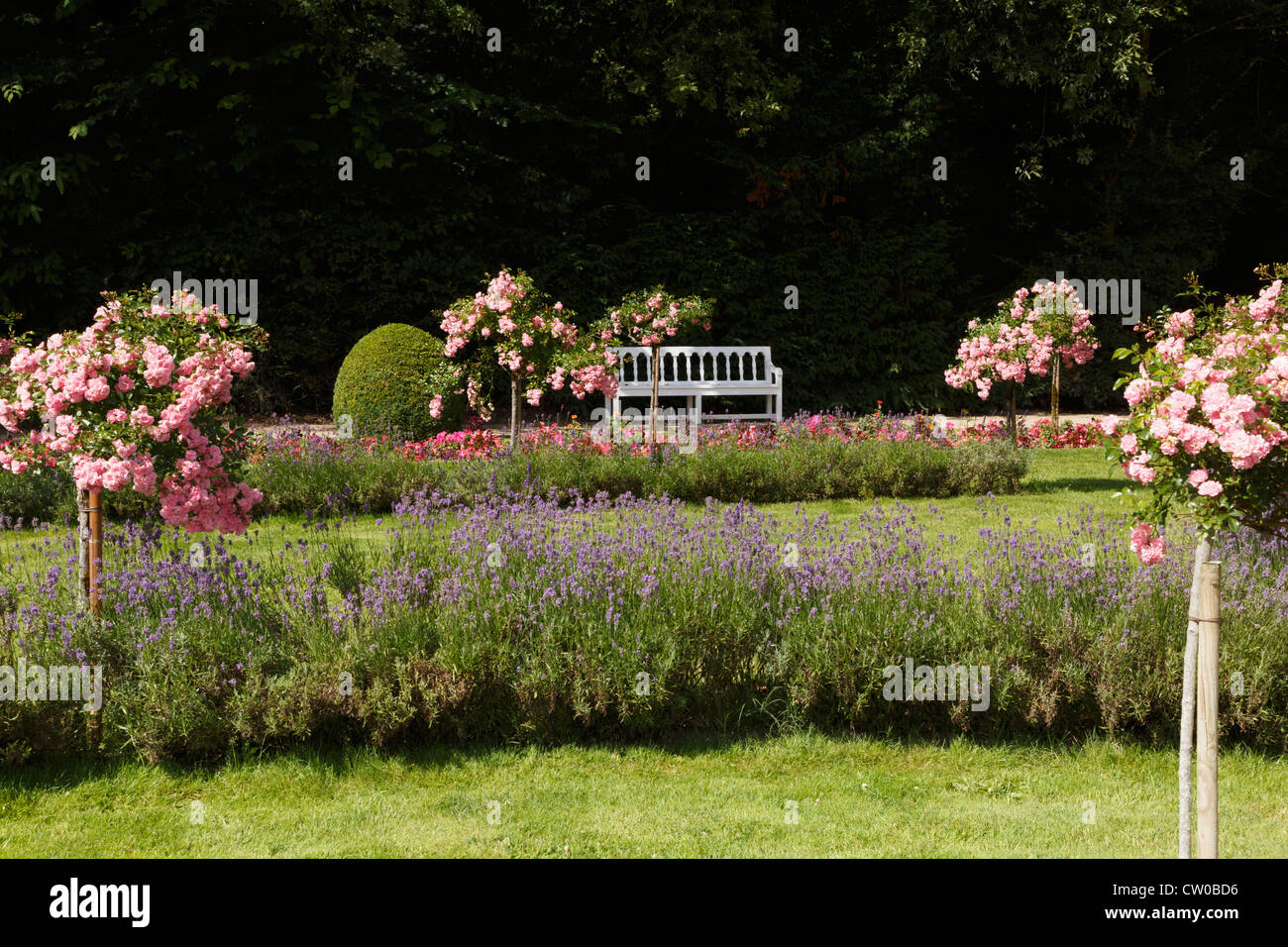 Catherine de Medici's Garden at Chateau Chenonceau, Loire Valley Stock Photo
