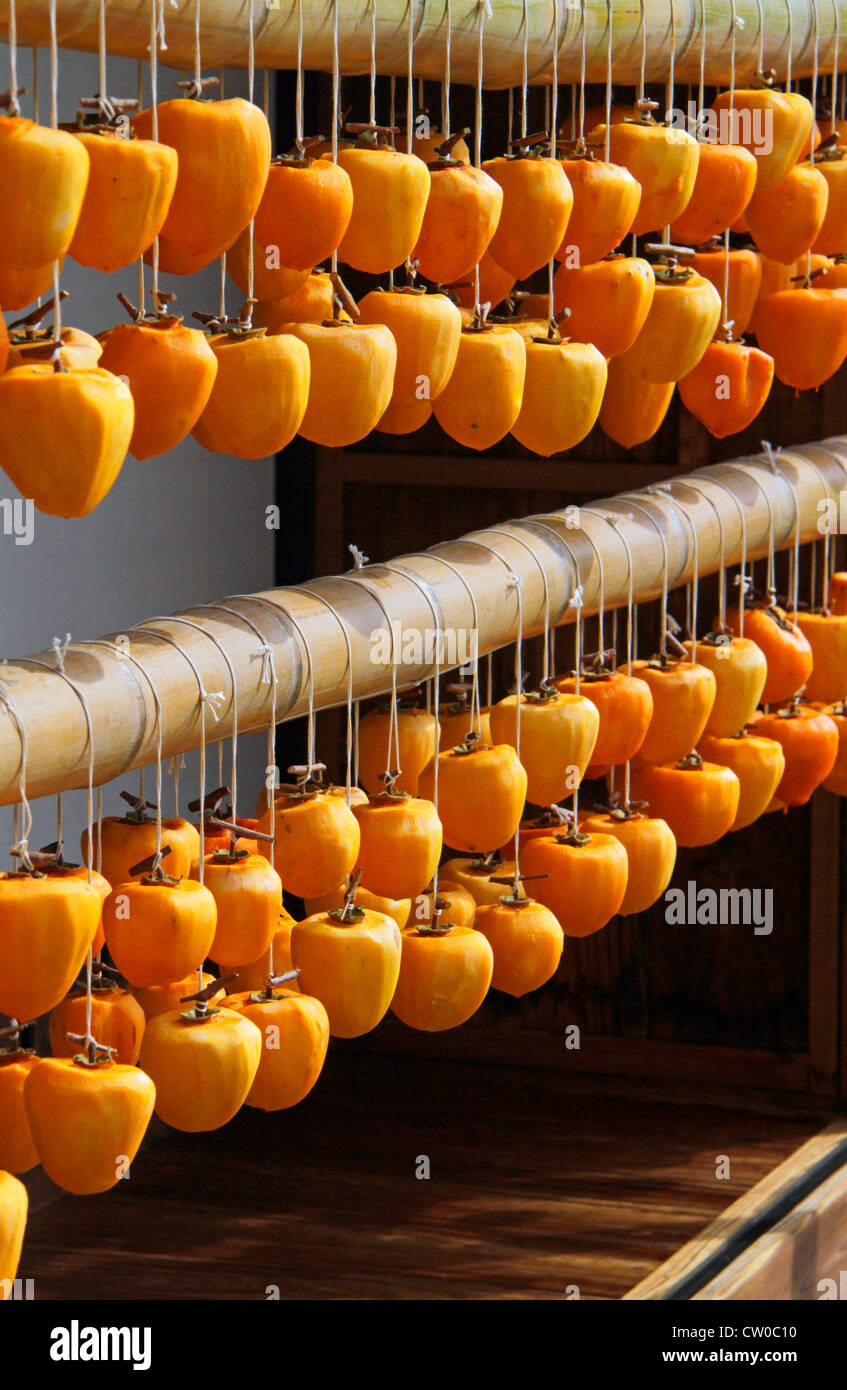 Drying pealed persimmon fruit to make Korogaki Yamanashi Japan Stock ...