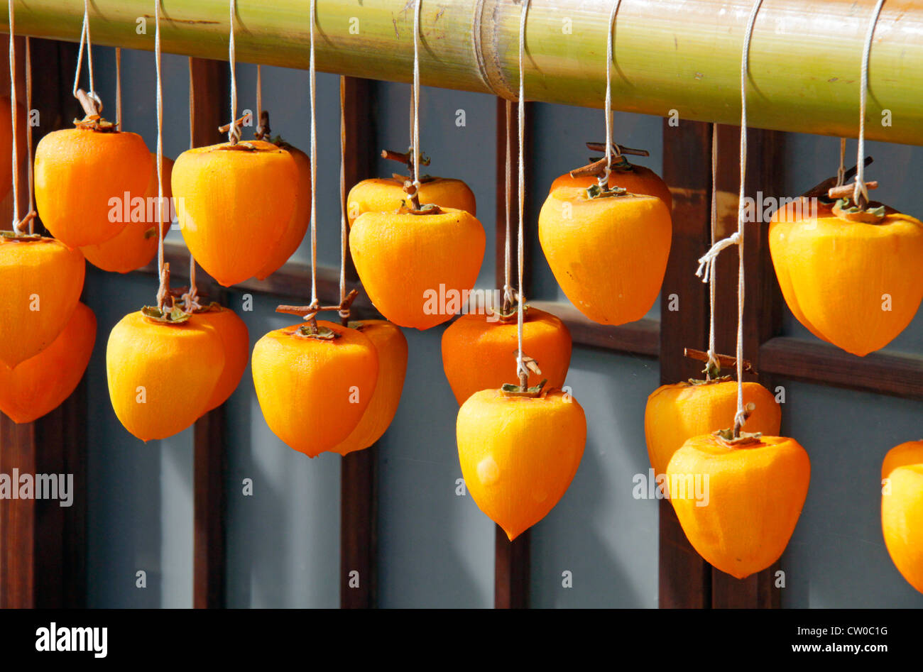 Drying pealed persimmon fruit to make Korogaki Yamanashi Japan Stock ...