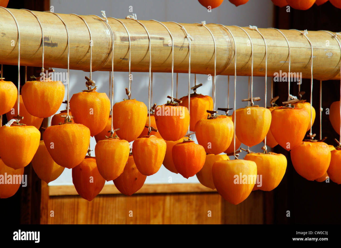 Drying pealed persimmon fruit to make Korogaki Yamanashi Japan Stock ...