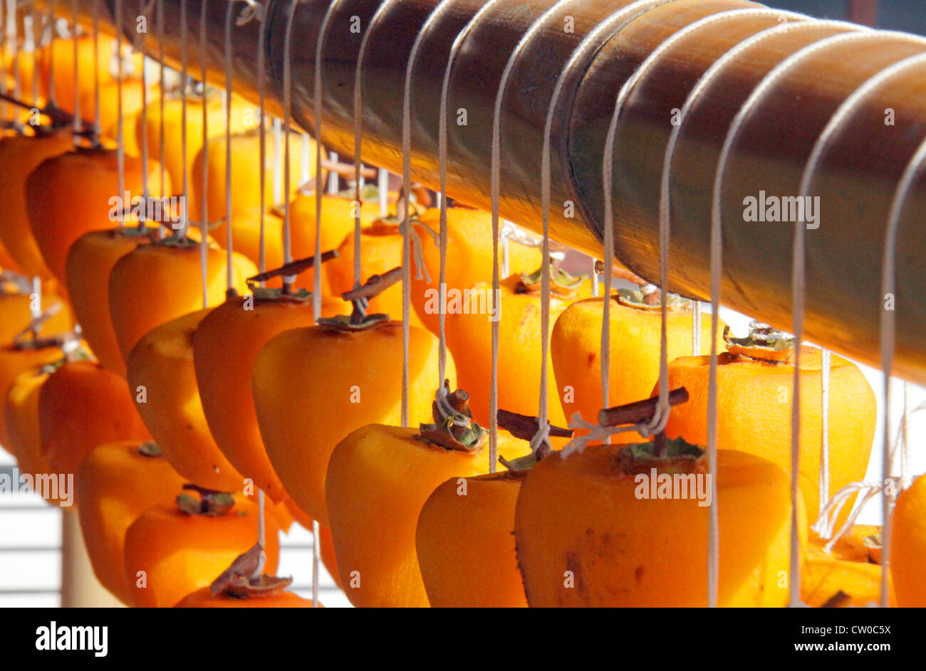 Drying pealed persimmon fruit to make Korogaki Yamanashi Japan Stock ...