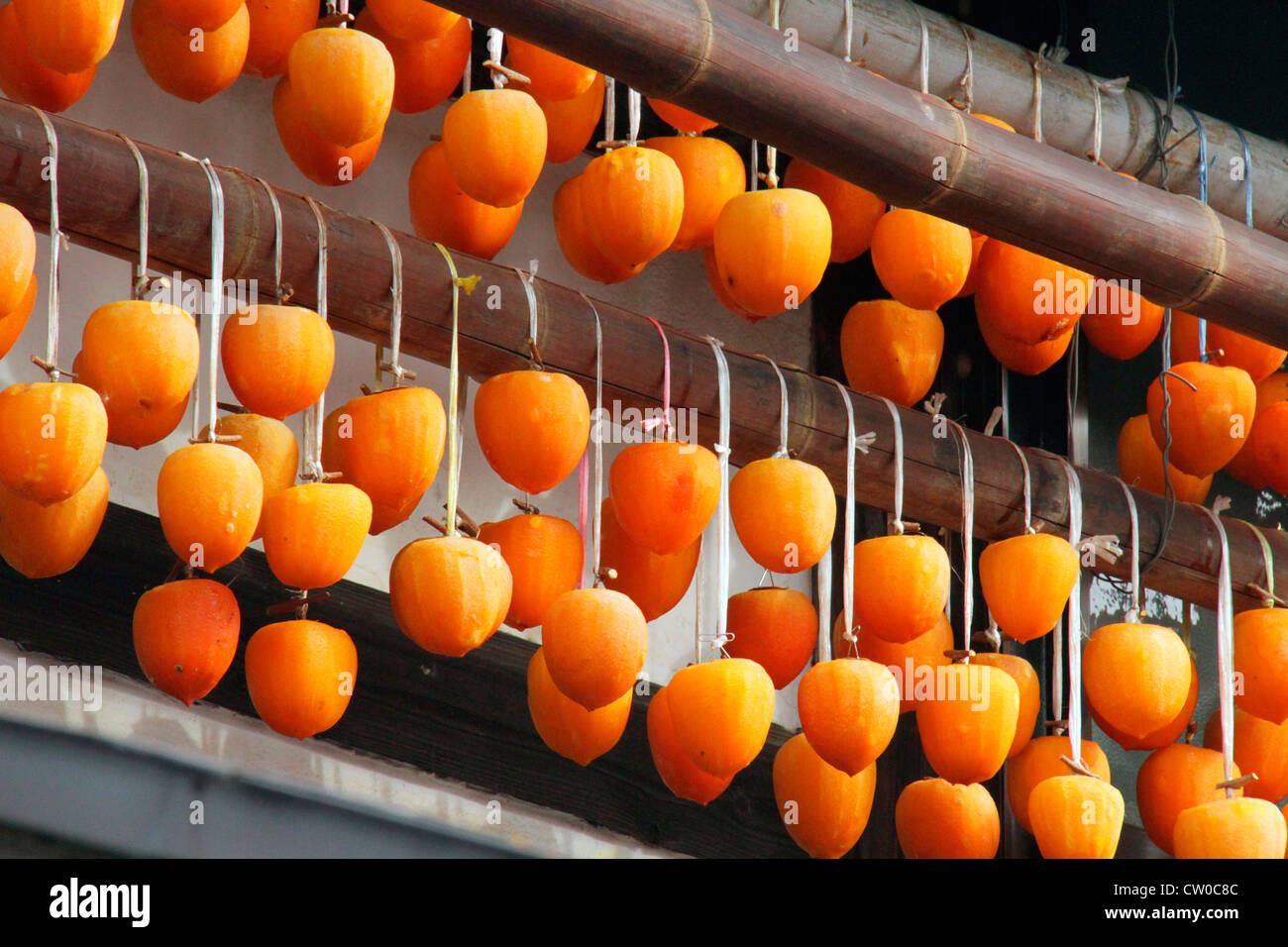 Drying pealed persimmon fruit to make Korogaki Yamanashi Japan Stock ...