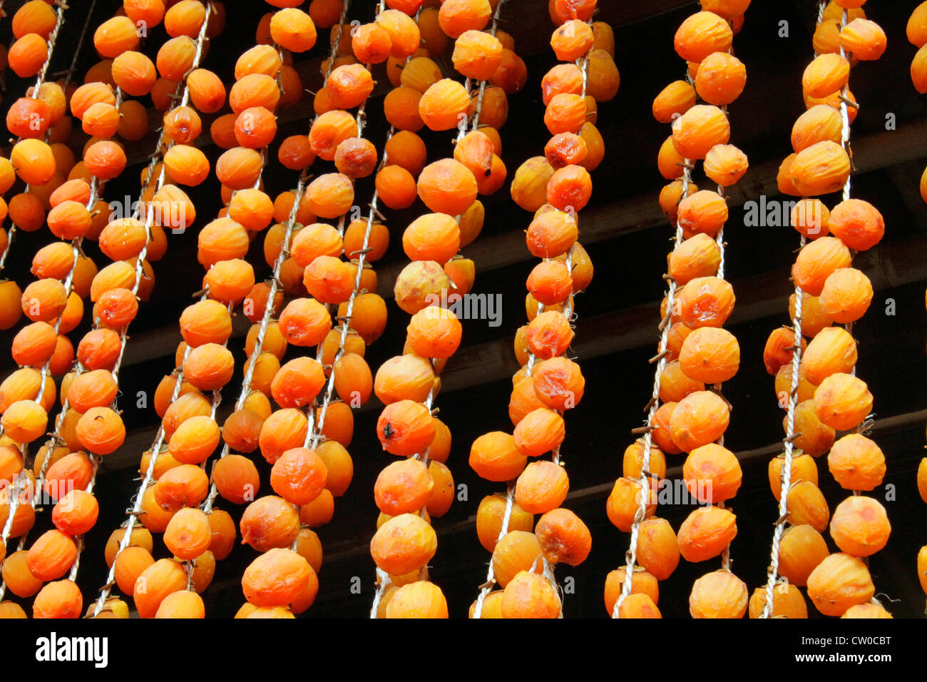 Drying pealed persimmon fruit to make Korogaki Yamanashi Japan Stock ...