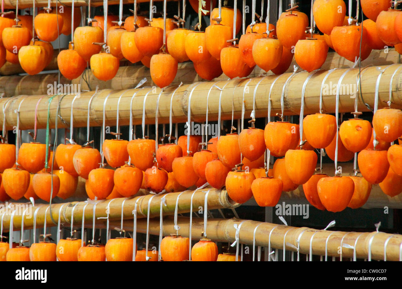 Drying pealed persimmon fruit to make Korogaki Yamanashi Japan Stock ...