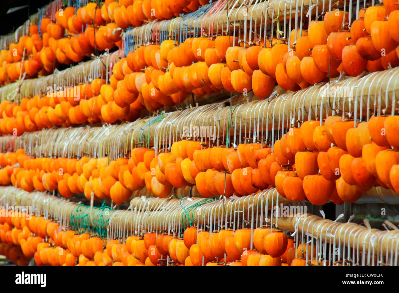 Drying pealed persimmon fruit to make Korogaki Yamanashi Japan Stock ...