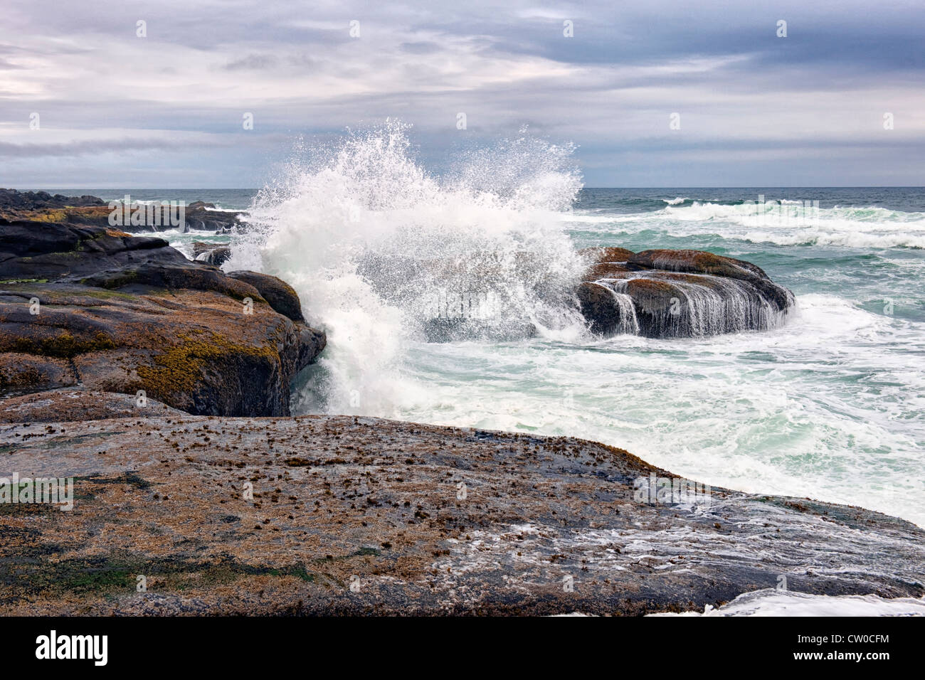 Waves crash at high tide against the basalt rocks at Yachats and Oregon’s central coastline. Stock Photo