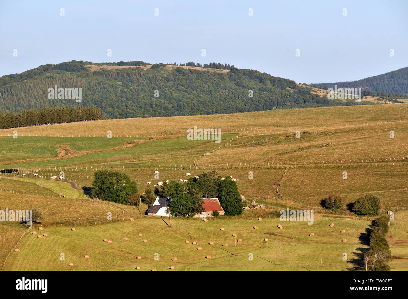 farm in Cezallier, Puy de Dome, Auvergne, Massif Central, France Stock Photo