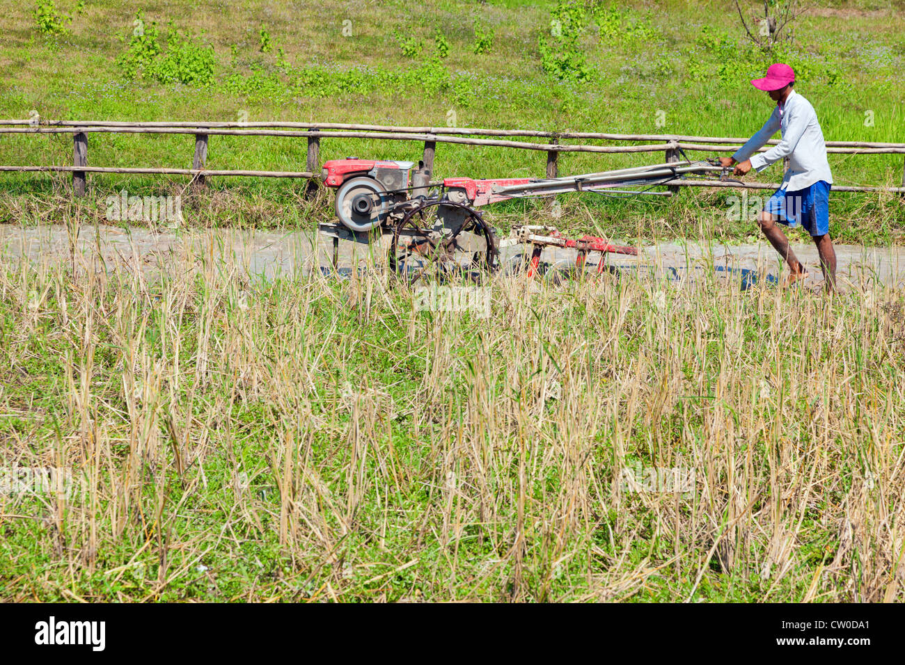 Cambodian farmer is plowing rice field Stock Photo