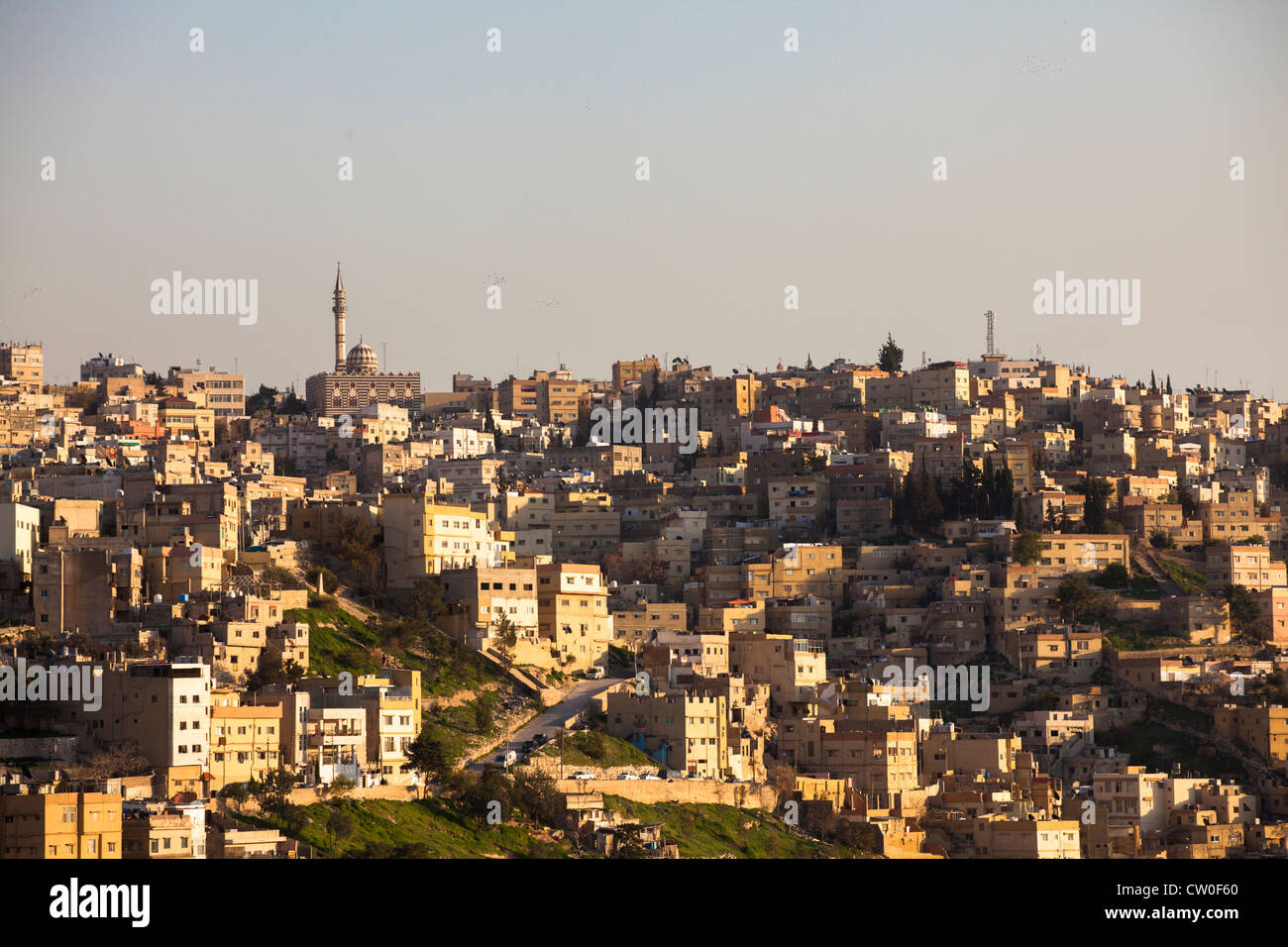 Citadel Amman Jordan Stock Photo