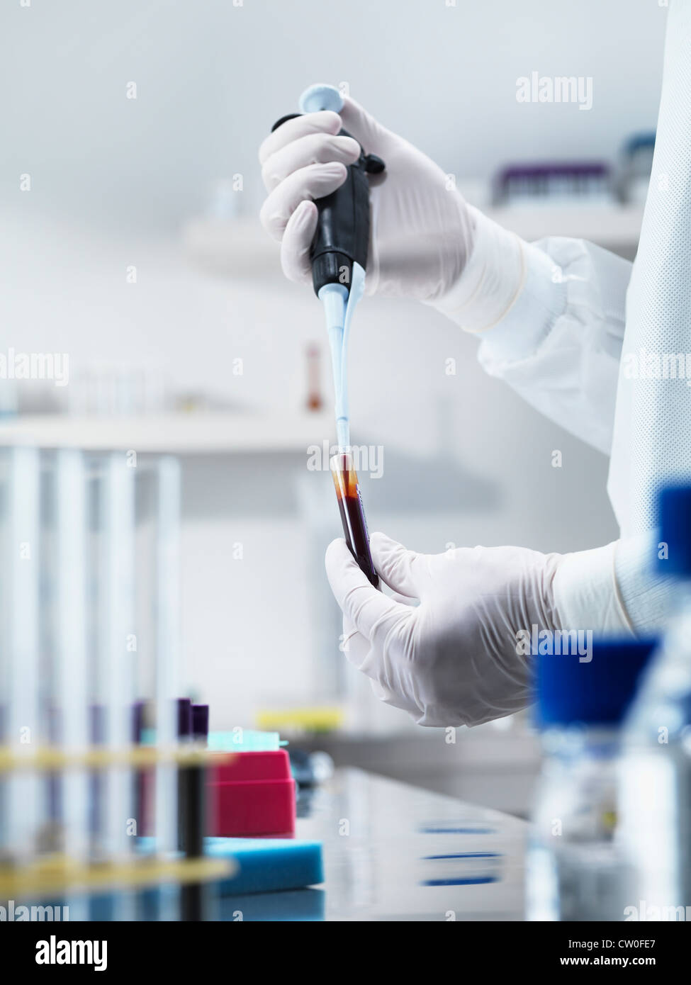 Scientist pipetting liquid in test tube Stock Photo