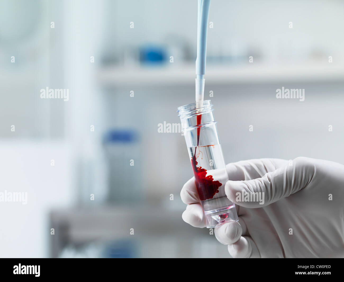 Scientist pipetting liquid in test tube Stock Photo