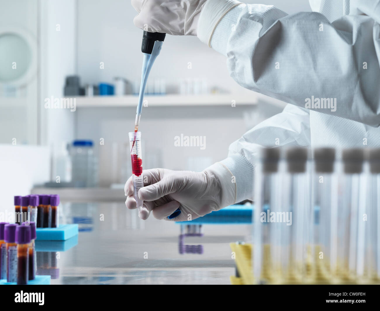 Scientist pipetting liquid in test tube Stock Photo