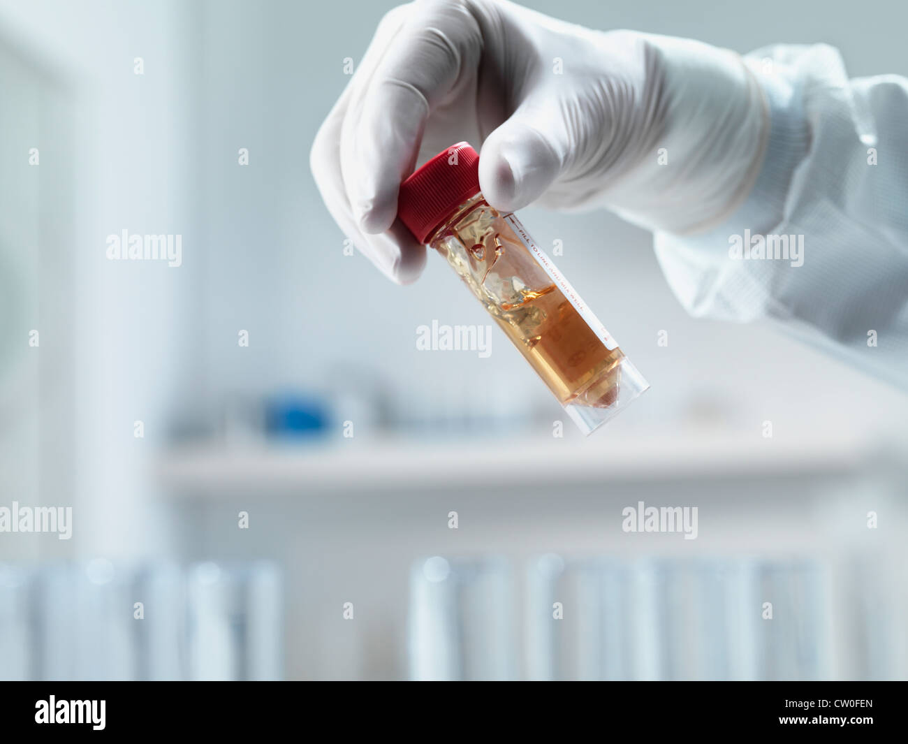 Scientist examining test tube in lab Stock Photo